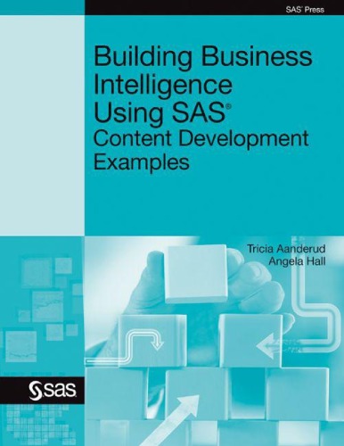 Building Business Intelligence Using Sas Aanderud Tricia