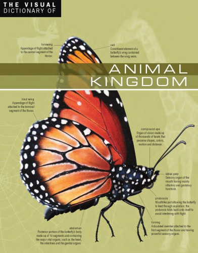 The Visual Dictionary Of Animal Kingdom Ariane Archambault Jeanclaude Corbeil