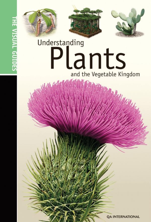 The Visual Guide To Understanding Plants The Vegetable Kingdom Jeanyves Ahern