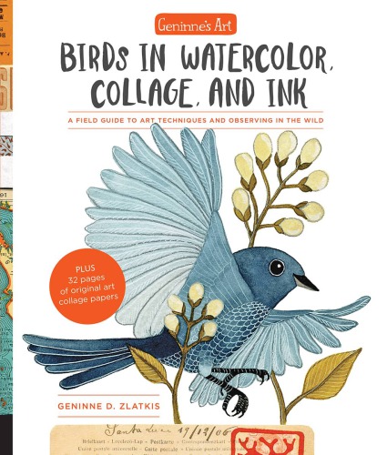 Geninnes Art Birds In Watercolor Collage And Ink A Field Guide To Art Techniques And Observing In The Wild Geninne D Zlatkis
