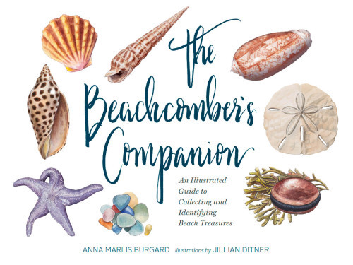 The Beachcombers Companion An Illustrated Guide To Collecting And Identifying Beach Treasures Anna Burgard
