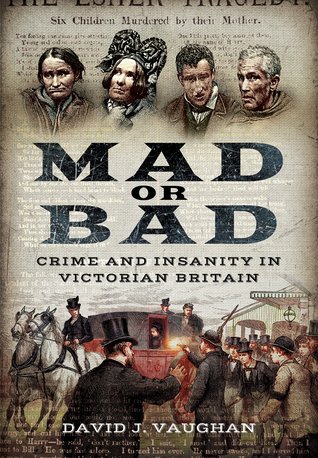 Mad Or Bad Crime And Insanity In Victorian Britain Paperback David J Vaughan