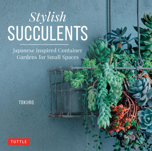 Stylish Succulents Japanese Inspired Container Gardens For Small Spaces Yoshinobu Kondo