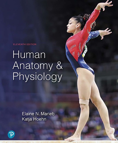 Human Anatomy And Physiology 11th Edition Elaine N Marieb Katja Hoehn