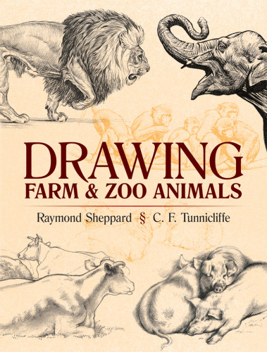 Drawing Farm And Zoo Animals Raymond Sheppard Charles Frederick Tunnicliffe