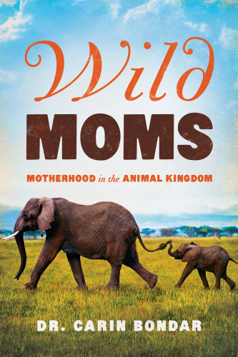 Wild Moms Motherhood In The Animal Kingdom 1st Carin Bondar