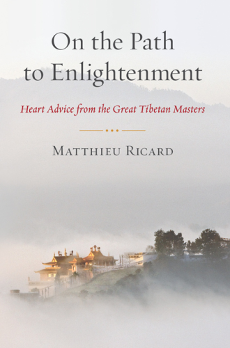 On The Path To Enlightenment Heart Advice From The Great Tibetan Masters Matthieu Ricard Author