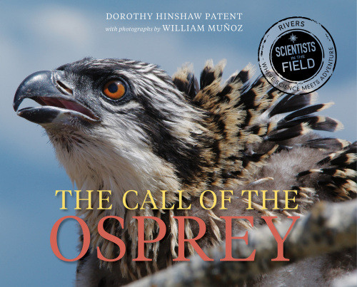 The Call Of The Osprey Dorothy Hinshaw Patent William Muñoz