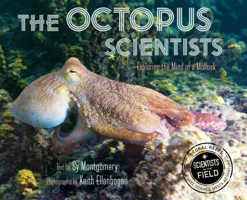 The Octopus Scientists Sy Montgomery Keith Ellenbogen