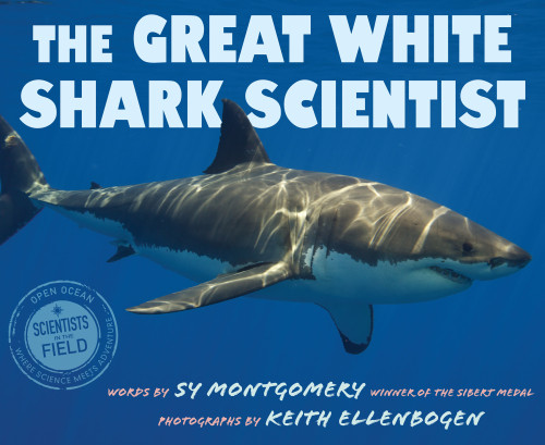The Great White Shark Scientist Sy Montgomery Keith Ellenbogen