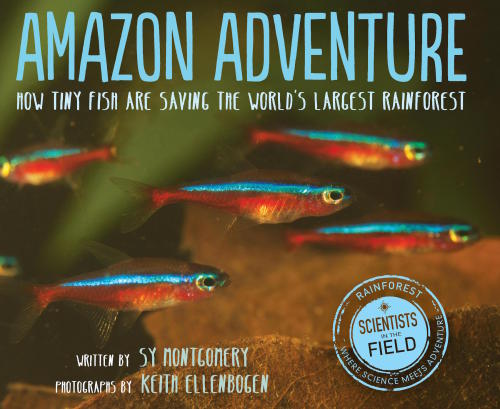 Amazon Adventure How Tiny Fish Are Saving The Worlds Largest Rainforest Sy Montgomery