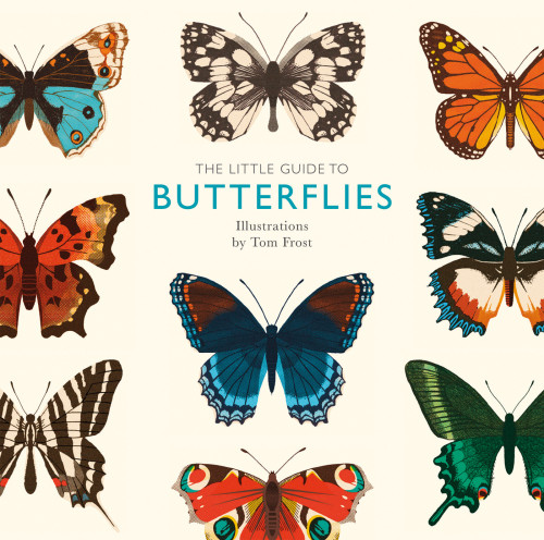 The Little Guide To Butterflies Alison Davies Tom Frost Illustrator