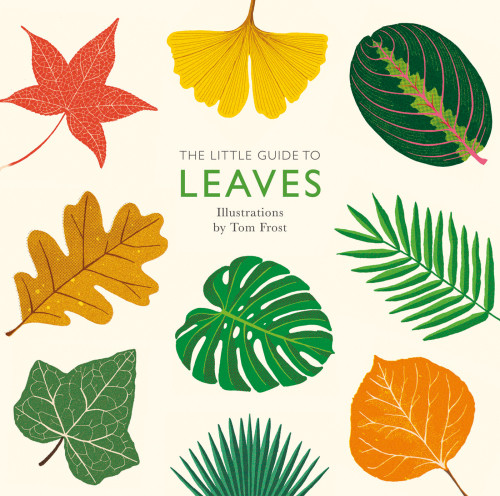 The Little Guide To Leaves Alison Davies Tom Frost Illustrator