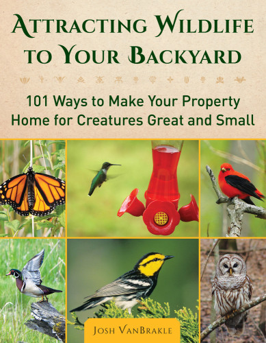 Attracting Wildlife To Your Backyard 101 Ways To Make Your Property Home For Creatures Great And Small Josh Vanbrakle