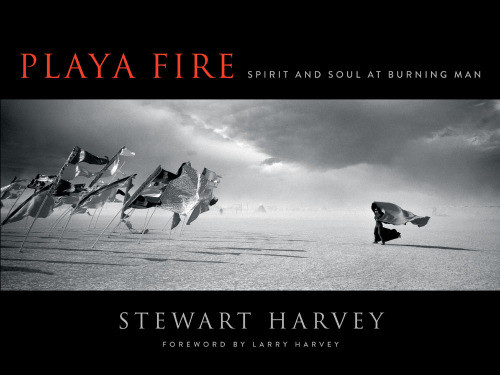 Playa Fire Spirit And Soul At Burning Man Stewart Harvey