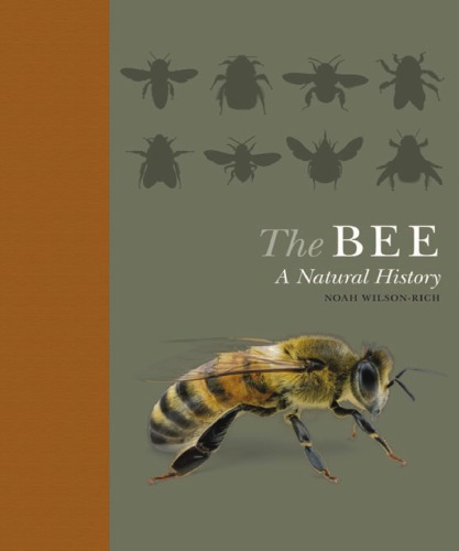 The Bee A Natural History Noah Wilsonrich Kelly Allin Norman Carreck
