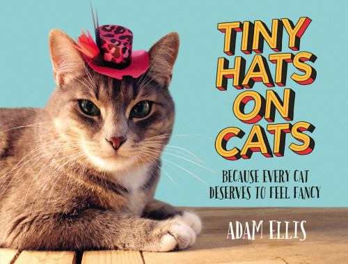 Tiny Hats On Cats Because Every Cat Deserves To Feel Fancy Adam Ellis