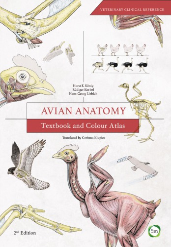 Avian Anatomy Textbook And Colour Atlas 2nd Edition 2nd Edition Horst Erich König