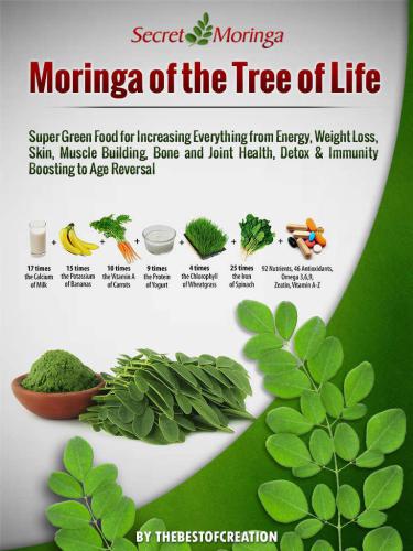 Moringa Of The Tree Of Life Super Green Food For Increasing Everything From Energy Weight Loss Skin Muscle Building Bone And Joint Health Detox Immunity Boosting To Age Reversal Muhammad Umar