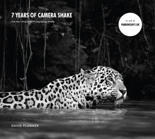 7 Years Of Camera Shake One Mans Passion For Photographing Wildlife David Plummer