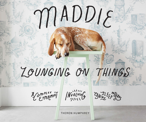 Maddie Lounging On Things A Complex Experiment Involving Canine Sleep Patterns Theron Humphrey