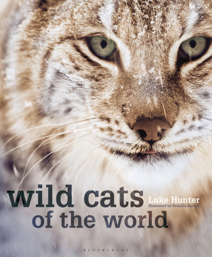 Wild Cats Of The World Luke Hunter Priscilla Barrett Illustrator