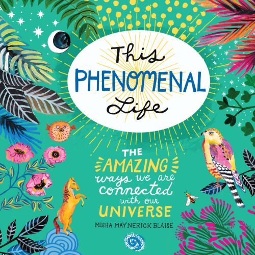 This Phenomenal Life The Amazing Ways We Are Connected With Our Universe Misha Maynerick Blaise