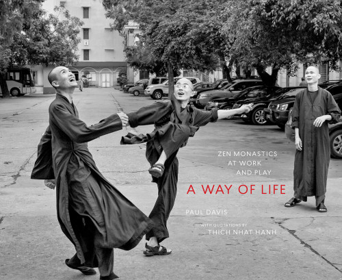 A Way Of Life Zen Monastics At Work And At Play Paul Davis