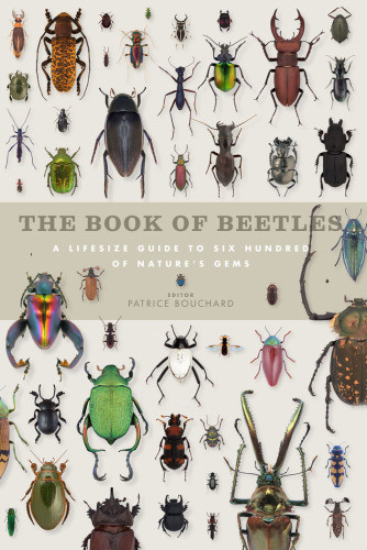 Book Of Beetles Yves Bousquet Patrice Bouchard Arthur V Evans