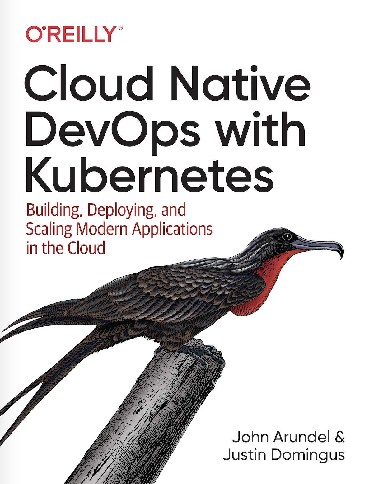 Cloud Native Devops With Kubernetes 1st Edition John Arundel