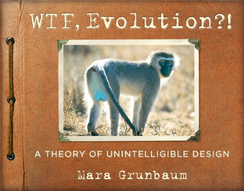 Wtf Evolution A Theory Of Unintelligible Design Mara Grunbaum