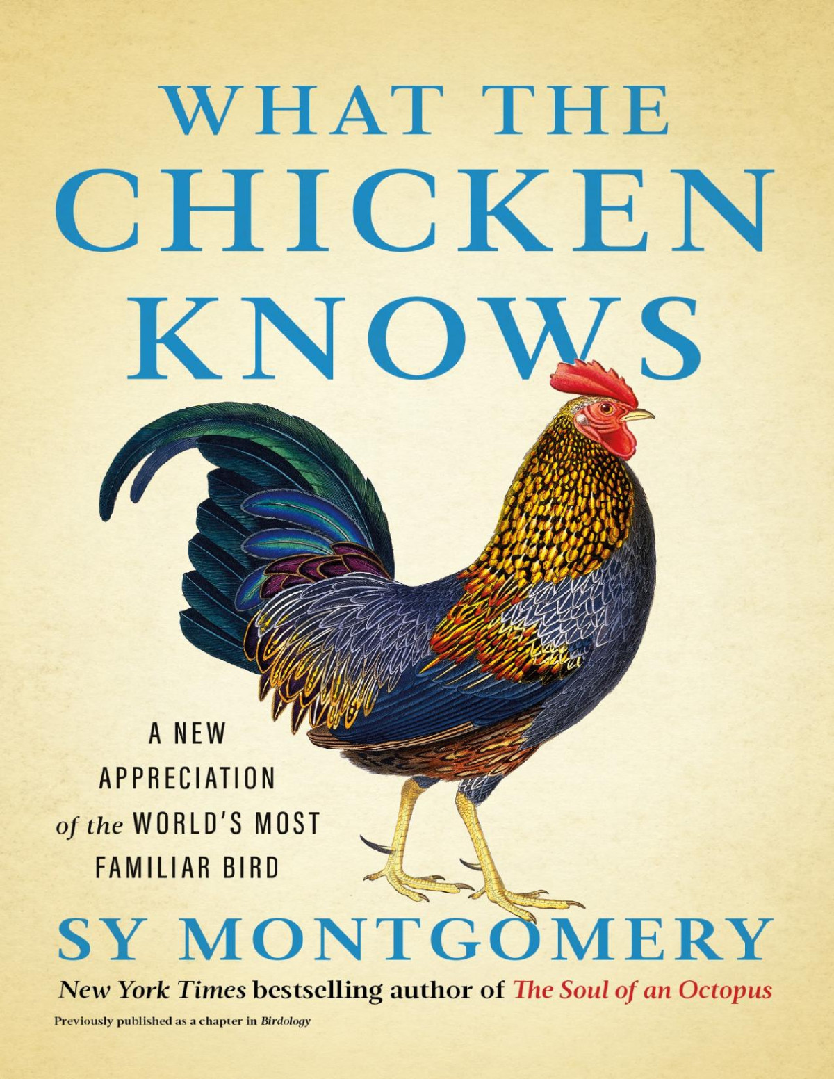 What The Chicken Knows A New Appreciation Of The Worlds Most Familiar Bird Sy Montgomery
