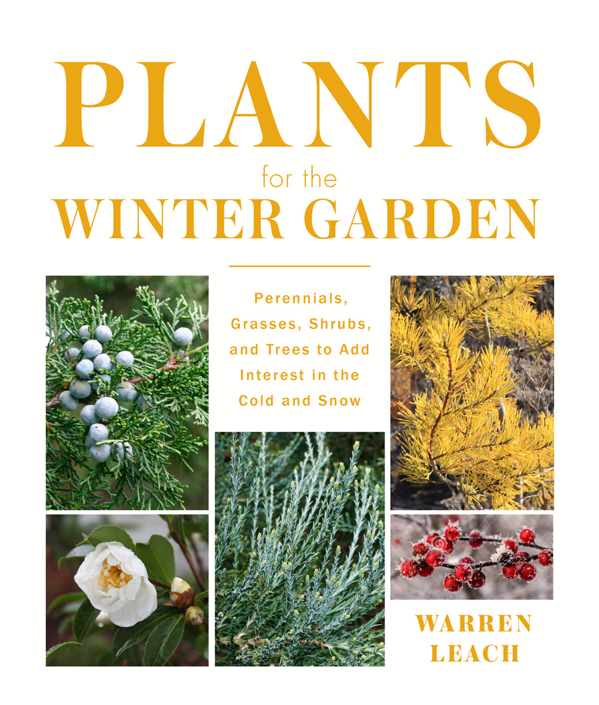 Plants For The Winter Garden Perennials Grasses Shrubs And Trees To Add Interest In The Cold And Snow Warren Leach