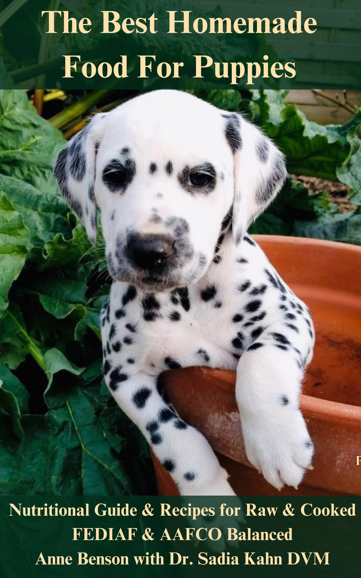 The Best Homemade Food For Puppies Nutritional Guide And Recipes For Raw Cooked Fediaf Aafco Balanced Anne Benson Sadia Kahn