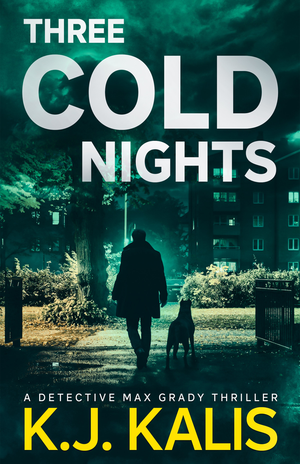 Three Cold Nights A Detective Max Grady Thriller Kj Kalis