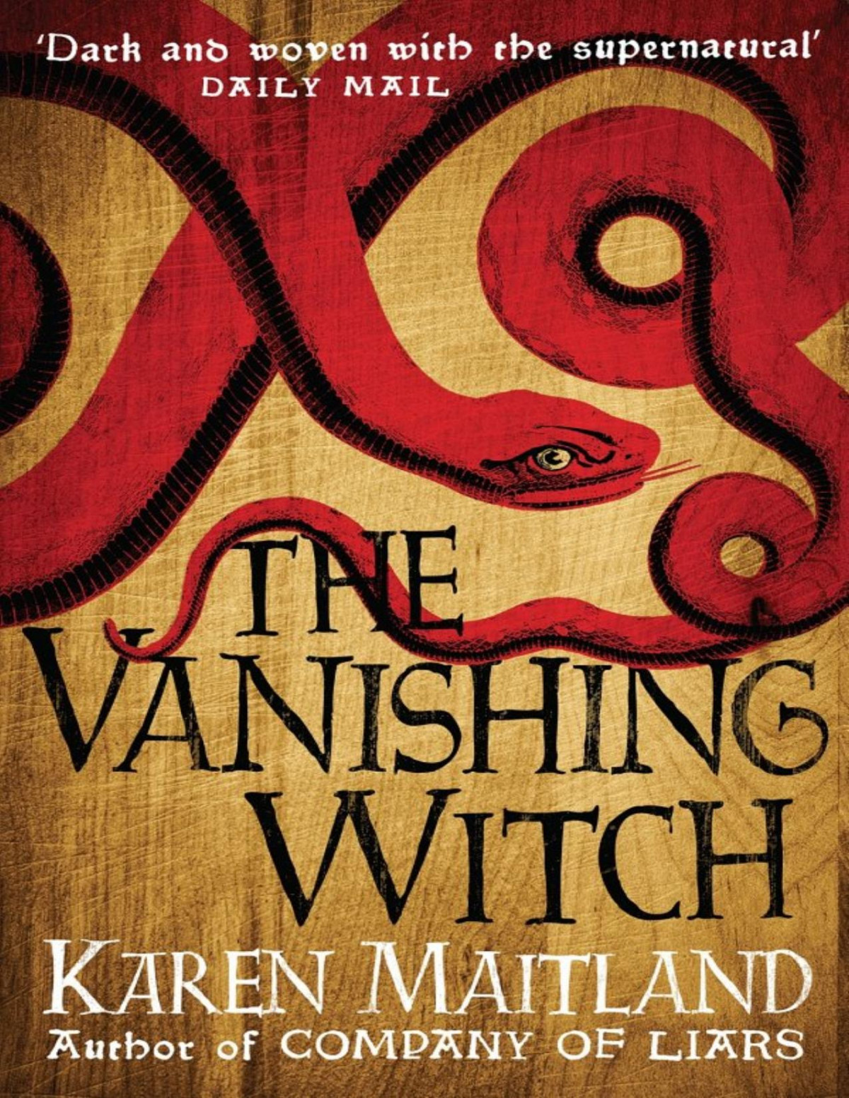 The Vanishing Witch A Dark Historical Tale Of Witchcraft And Rebellion Karen Maitland