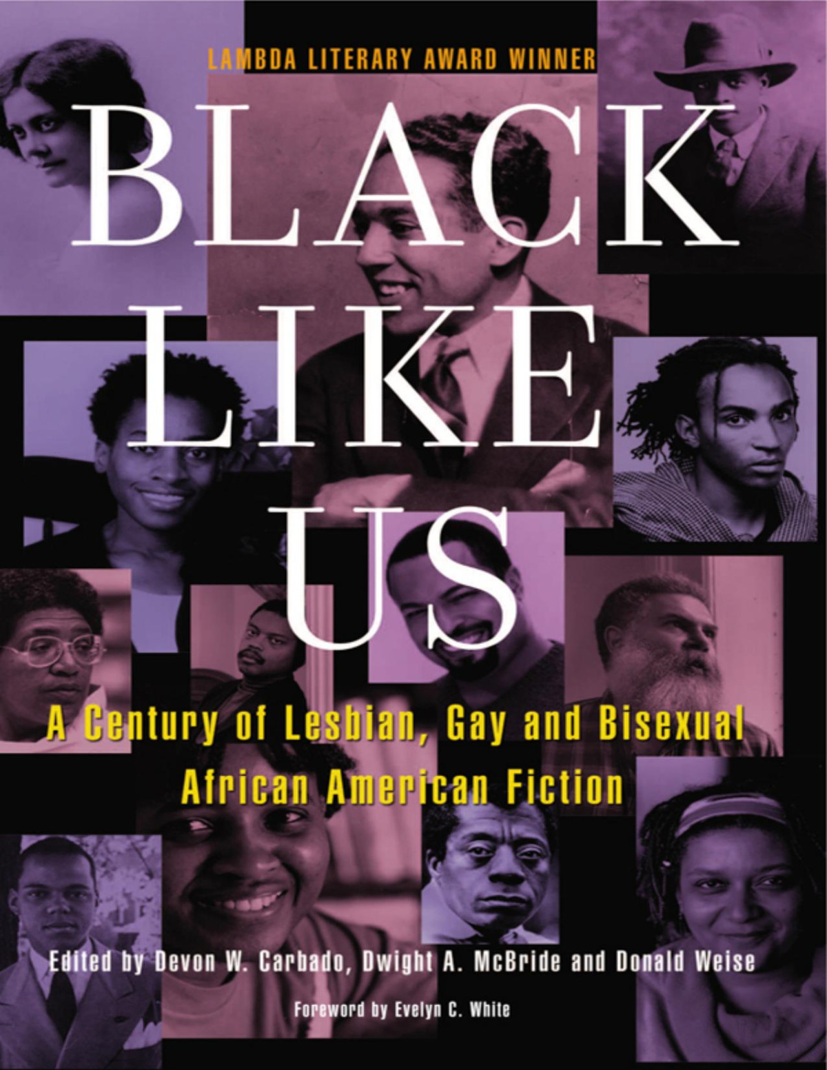 Black Like Us A Century Of Lesbian Gay And Bisexual African American Fiction Lambda Literary Award Winner Devon Carbado