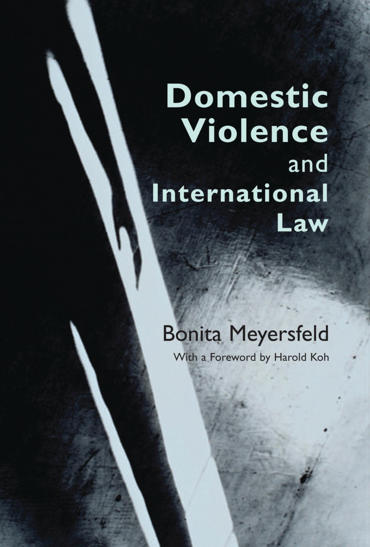Domestic Violence And International Law 2010th Edition Bonita Meyersfeld