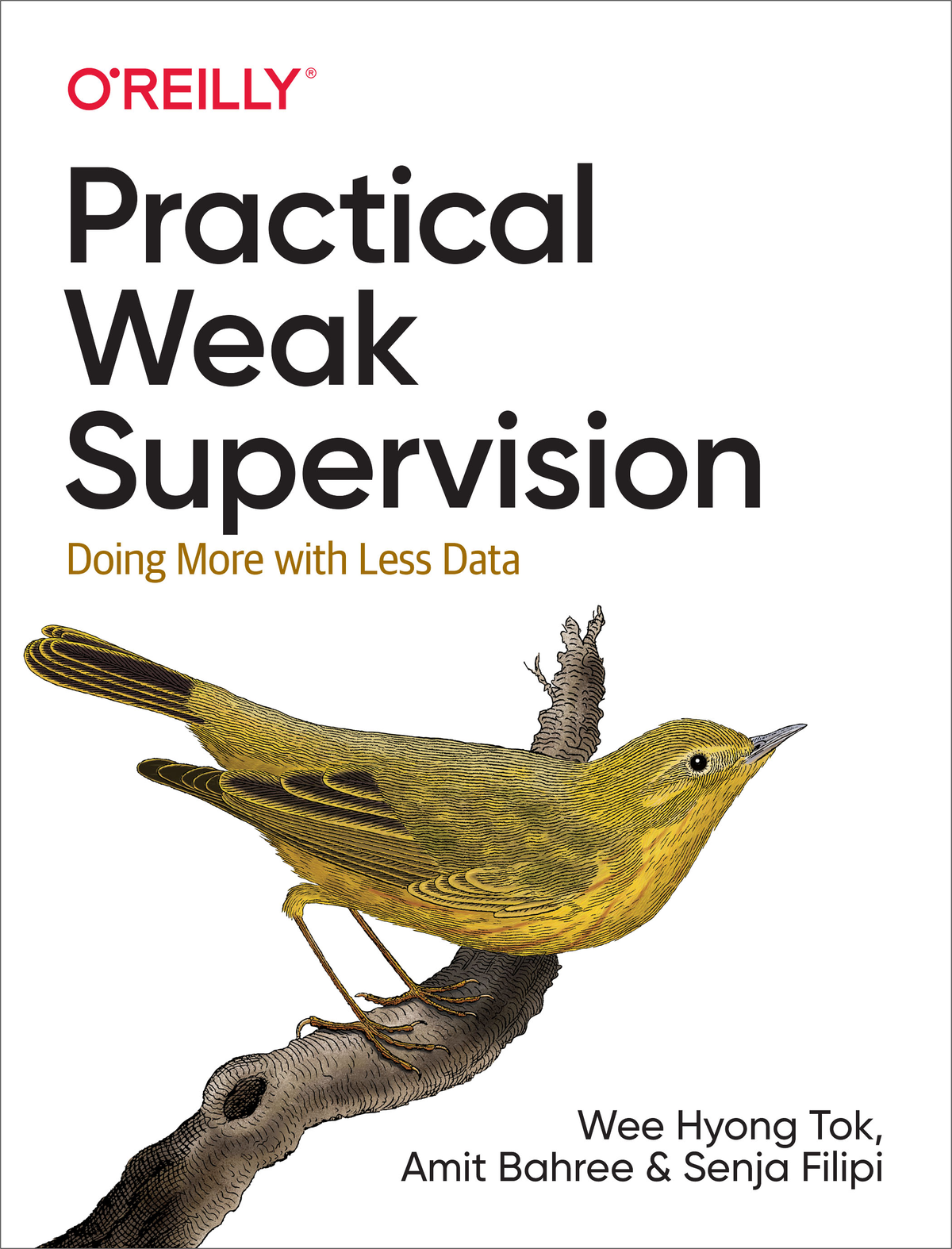 Practical Weak Supervision Wee Hyong Tok