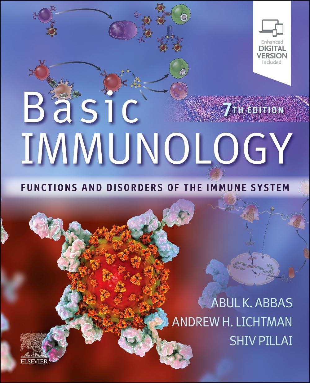 Basic Immunology 7th Edition Abul K Abbas Andrew H Lichtman