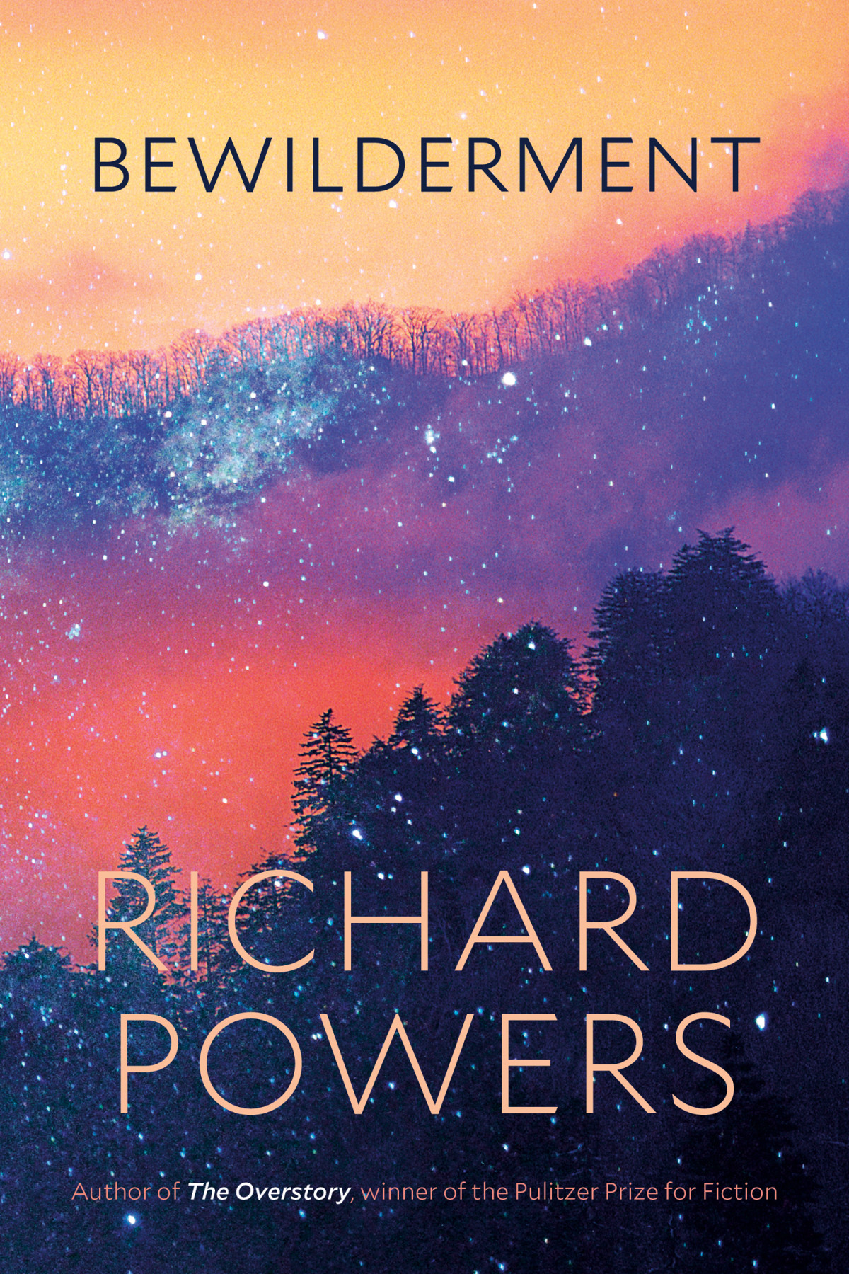 Bewilderment A Novel Richard Powers