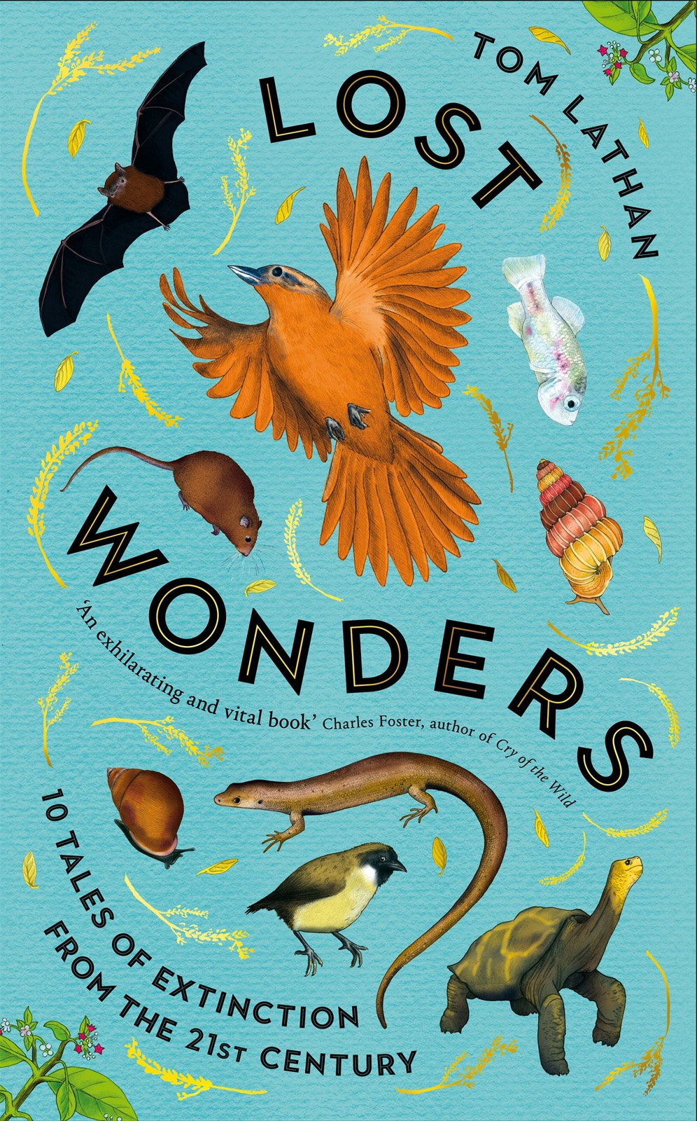Lost Wonders Tom Lathan
