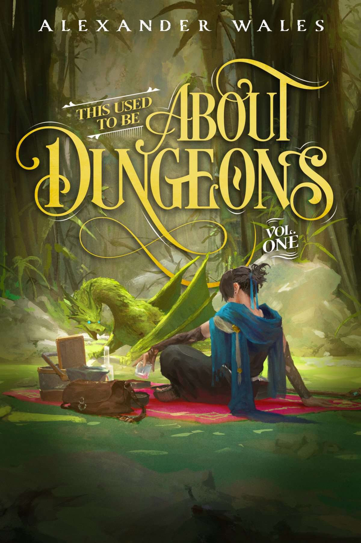 This Used To Be About Dungeons Volume 1 1st Edition Alexander Wales