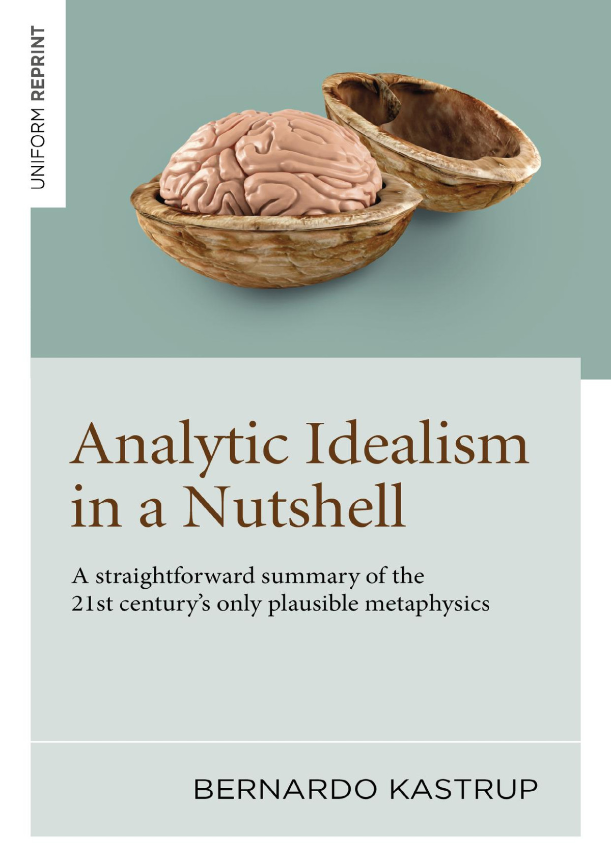 Analytic Idealism In A Nutshell 1st Edition Bernardo Kastrup