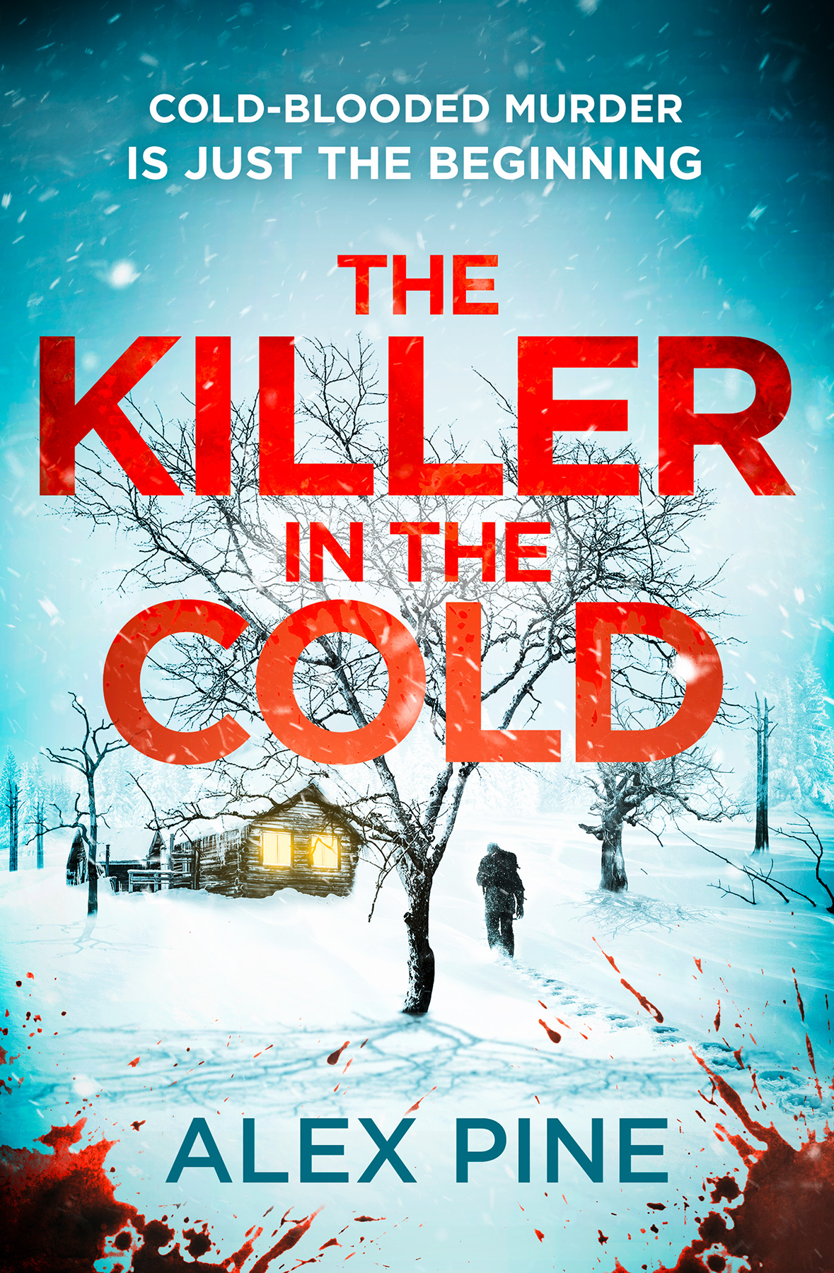 The Killer In The Cold 1st Edition Alex Pine