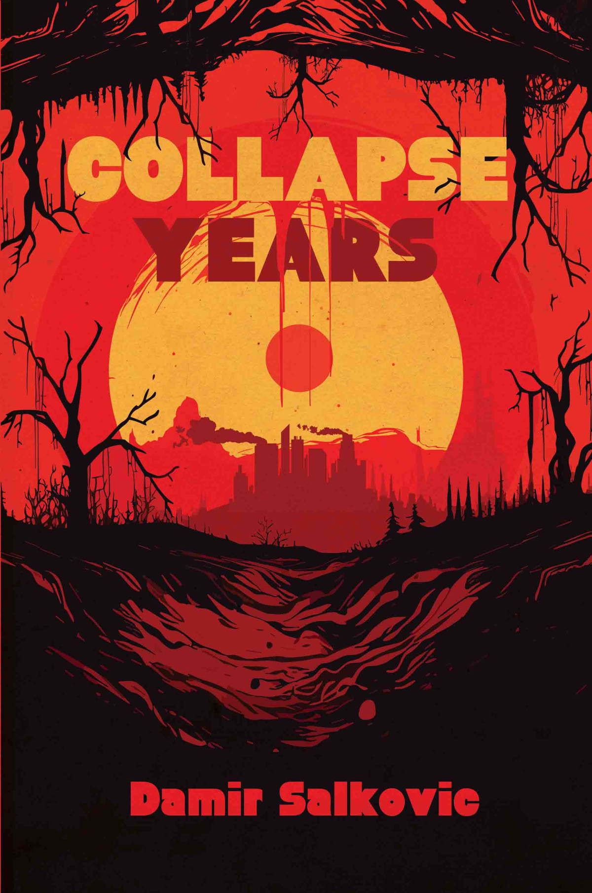 Collapse Years Damir Salkovic