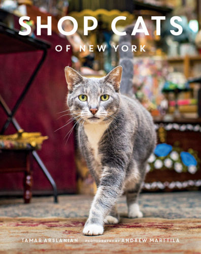 Shop Cats Of New York Tamar Arslanian