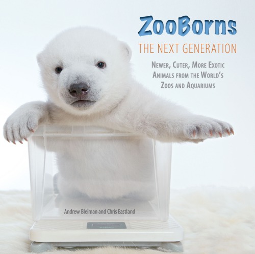 Zooborns The Next Generation Newer Cuter More Exotic Animals From The Worlds Zoos And Aquariums Andrew Bleiman