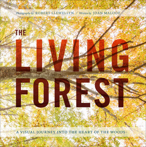 The Living Forest A Visual Journey Into The Heart Of The Woods Joan Maloof