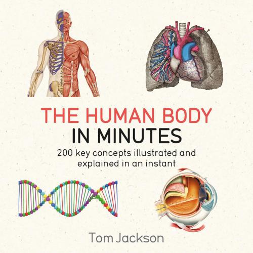 The Human Body In Minutes 200 Key Concepts Illustrated And Explained In An Instant Tom Jackson